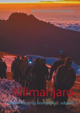 Kilimanjaro af Bo Belvedere Christensen