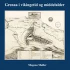 Grenaa i vikingetid og middelalder
