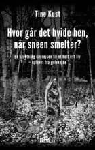 Hvor går det hvide hen, når sneen smelter?