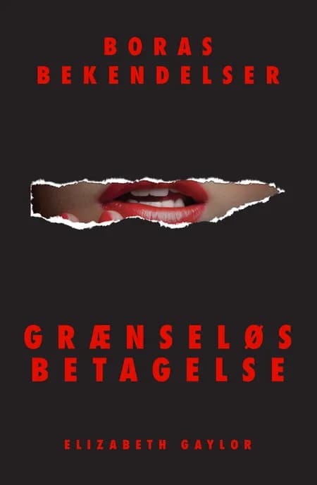 Grænseløs betagelse af Elizabeth Gaylor