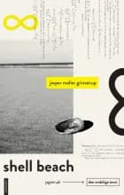 Shell Beach - Jagten på den endelige teori af Jesper Møller Grimstrup