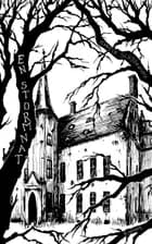 En stormnat af Martin Schjönning