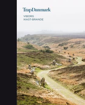 Viborg, Ikast-Brande af Trap Danmark
