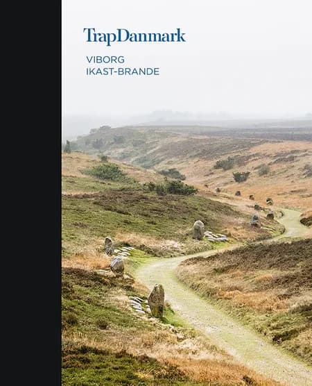 Viborg, Ikast-Brande af Trap Danmark