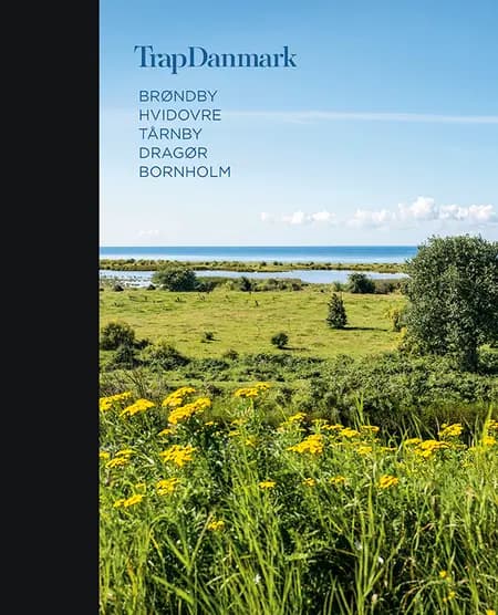 Brøndby, Hvidovre, Tårnby, Dragør, Bornholm af Trap Danmark