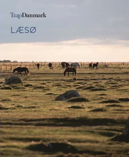 Trap Danmark. Læsø Kommune af Trap Danmark