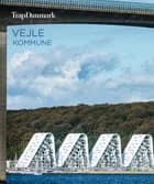 Trap Danmark: Vejle Kommune af Trap Danmark