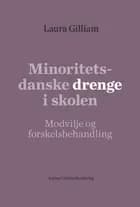 Minoritetsdanske drenge i skolen