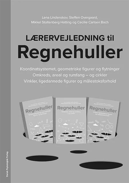 Lærervejledning til Regnehuller - Koordinatsystemet, geometriske figurer og flytninger/Omkreds, areal og rumfang og cirkler af Lena Lindenskov