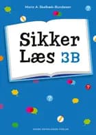 Sikker Læs 3B