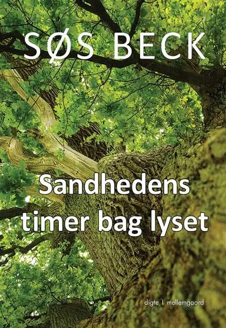 Sandhedens timer bag lyset af Søs Beck