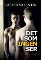 Det som ingen ser af Kasper Valentin