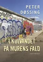 I kølvandet på murens fald