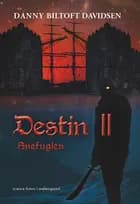 Snefuglen af Danny Biltoft Davidsen
