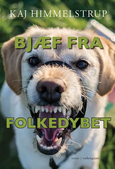 Bjæf fra folkedybet af Kaj Himmelstrup