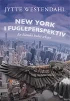 New York i fugleperspektiv