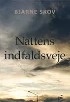 Nattens indfaldsveje af Bjarne Skov