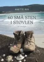 60 små sten i støvlen - 60 livsdigte