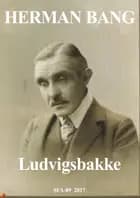 Ludvigsbakke