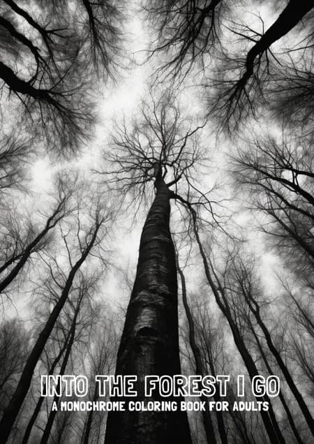 Into the Forest I Go af Irene Rasmussen