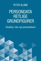 Persondataretlige grundfigurer