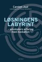 Løsningens labyrint af Carsten Juul og Thomas Samsø Bloch