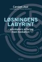 Løsningens labyrint