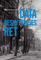 Databeskyttelsesret
