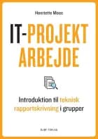 IT-projektarbejde af Henriette Moos