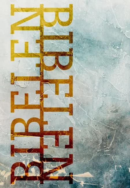 Bibelen på Hverdagsdansk, paperback, frost 