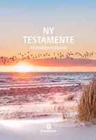 Ny Testamente - på hverdagsdansk, strand. 