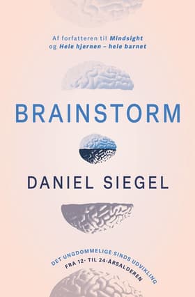 Brainstorm af Daniel Siegel