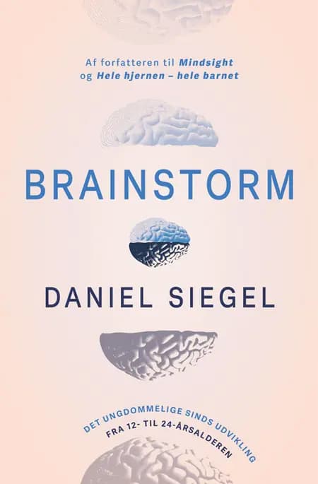 Brainstorm af Daniel Siegel