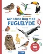 Min store bog med fuglelyde 