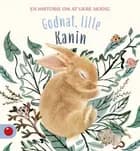 Godnat, lille Kanin 