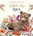 Godnat, lille Bjørn 
