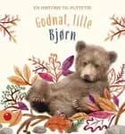 Godnat, Lillebjørn 
