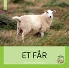 Et får