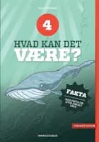 Hvad kan det være? 4