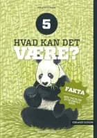 Hvad kan det være?