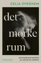 Det mørke rum