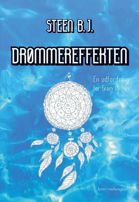 Drømmereffekten af Steen B.J.
