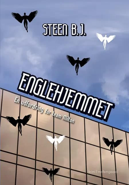 Englehjemmet af Steen B.J.