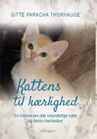 Kattens til kærlighed