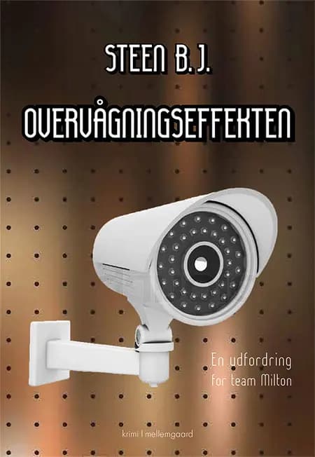 Overvågningseffekten af Steen B.J.