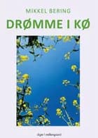 Drømme i kø af Mikkel Bering