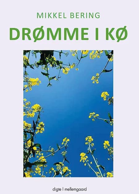 Drømme i kø af Mikkel Bering