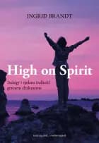 High on Spirit – Indsigt i sjælens indhold gennem chakraerne