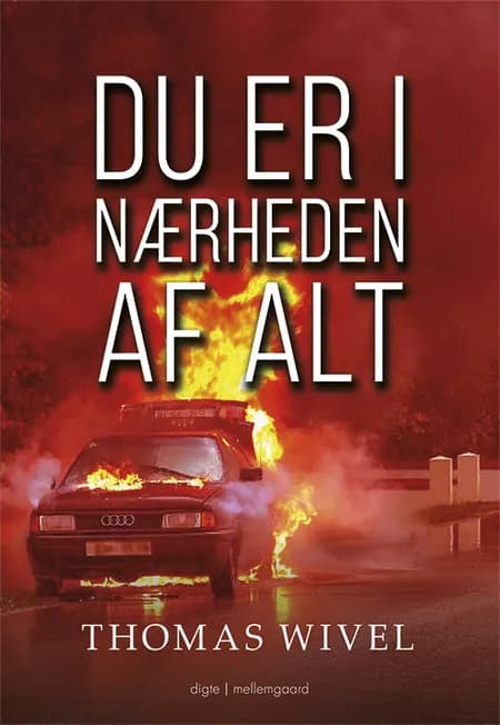 Du er i nærheden af alt af Thomas Wivel