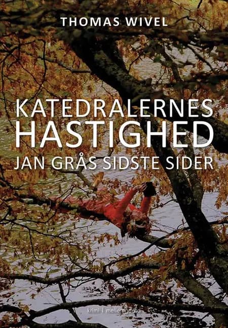Katedralernes hastighed af Thomas Wivel